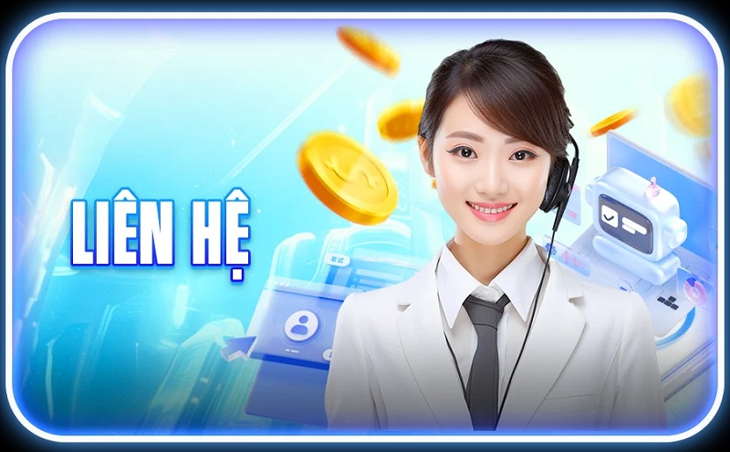 liên hệ dn88